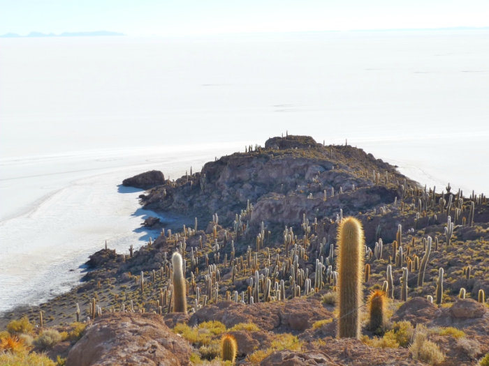 Salar, Uyuni