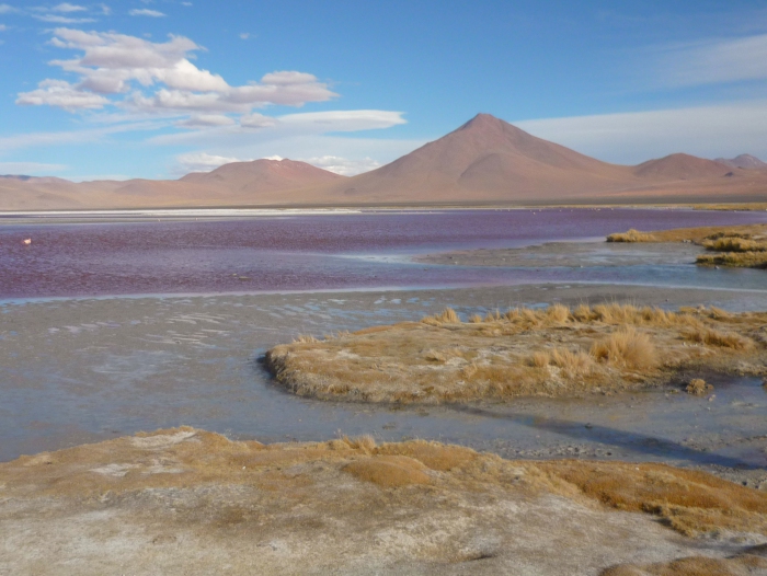 Salar, Uyuni