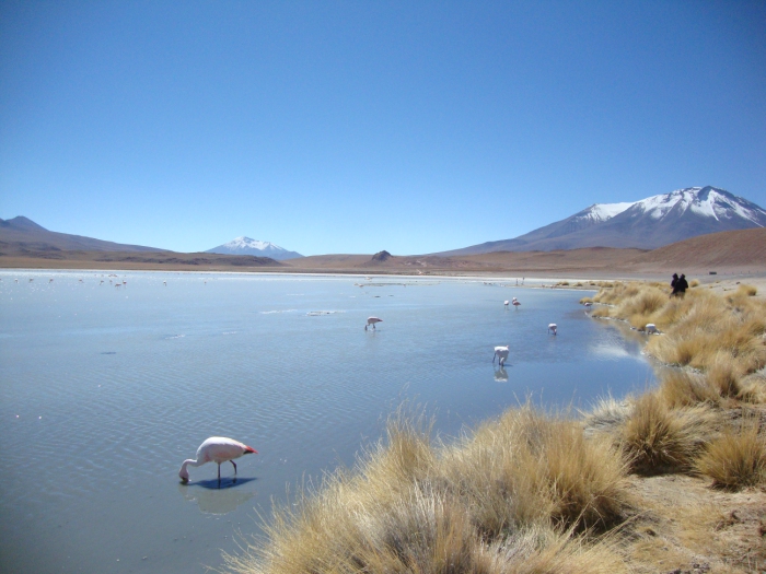 Salar, Uyuni