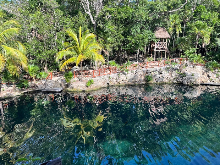 Cenote Casa Tortuga