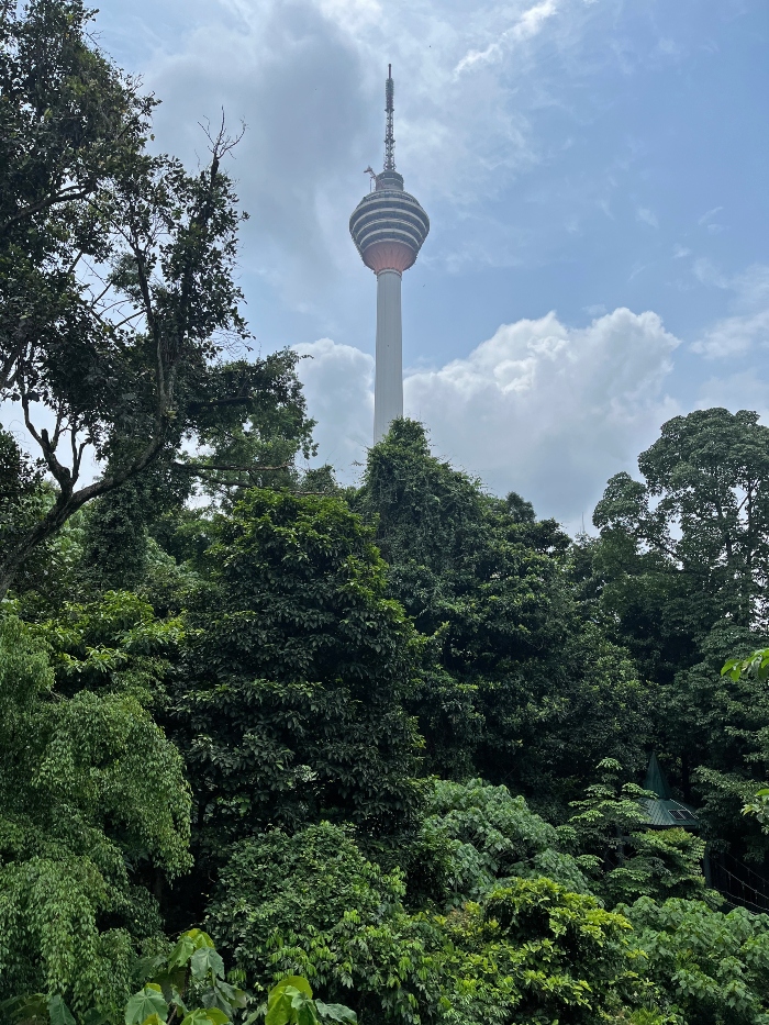 Jungla cittadina a Kuala Lumpur