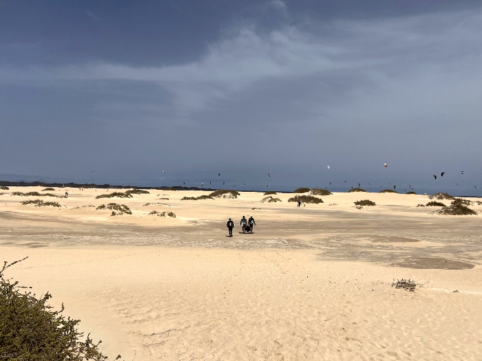 Parque de Corralejos